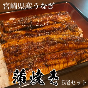 宮崎県産うなぎ 蒲焼き 5尾セット