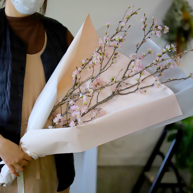 【残りわずか】自宅で！桜のお花見キット（おかわり）