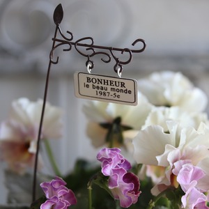 冬から春に楽しむ寄せ植え　ミルク缶でハボタンあかねのお正月におすすめの寄せ植え　ピック付き　お正月にオススメ　届いてすぐ玄関に飾れる 　プレゼントにもオススメ　