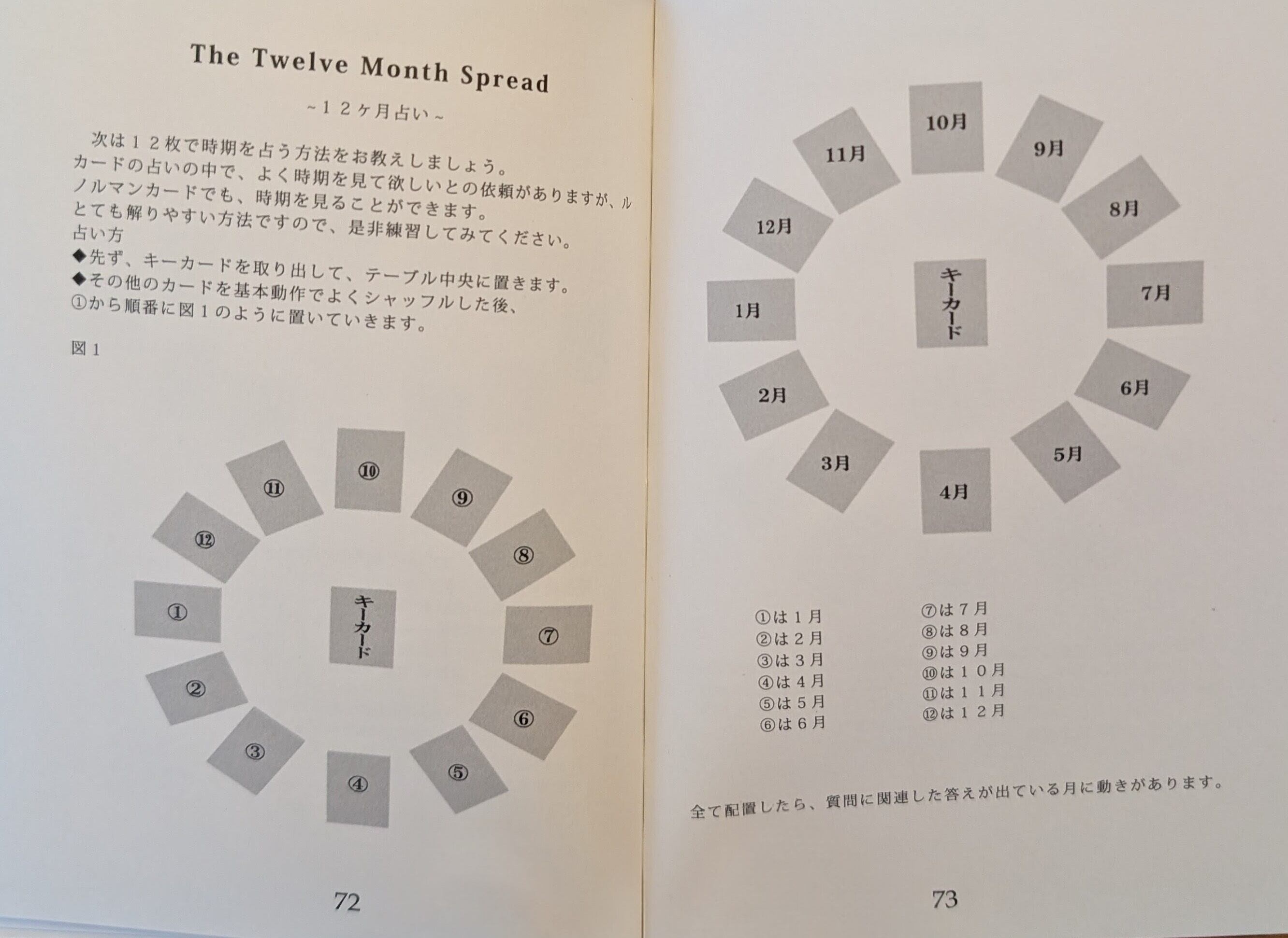 スタートセット②】基礎を学べる専門書とルノルマンカード（CONTACT