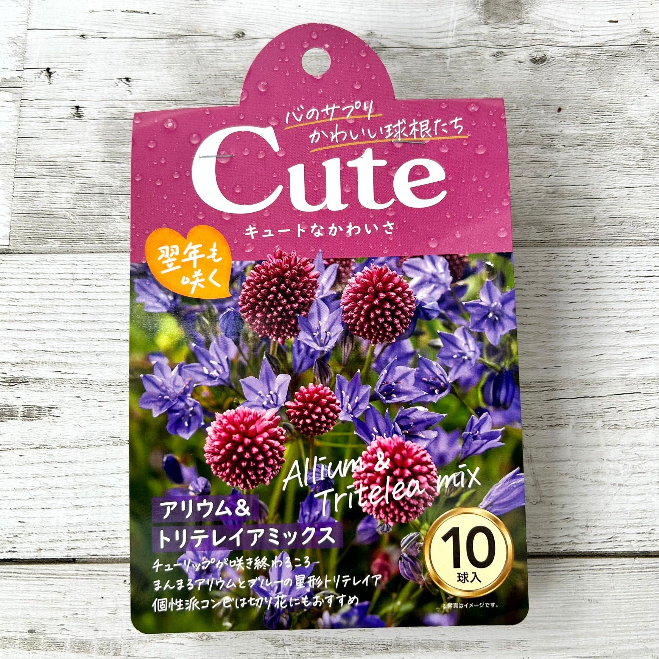 球根 Cuteシリーズ 【アリウム & トリテレイア ミックス】are [サイズ