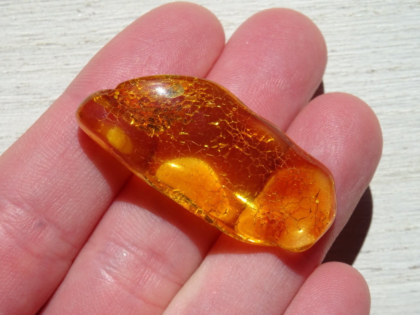 琥珀　砂　植物のような物を内包した　バルティック　アンバー　バルト海沿岸地域産 バルティックアンバー（バルト海琥珀） ~Honey The Treasure~ | 虹石屋