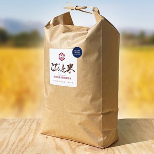 【令和7年産・新米】冷めても美味しい！【五百川】白米・10kg　特別栽培米　こぴっと米