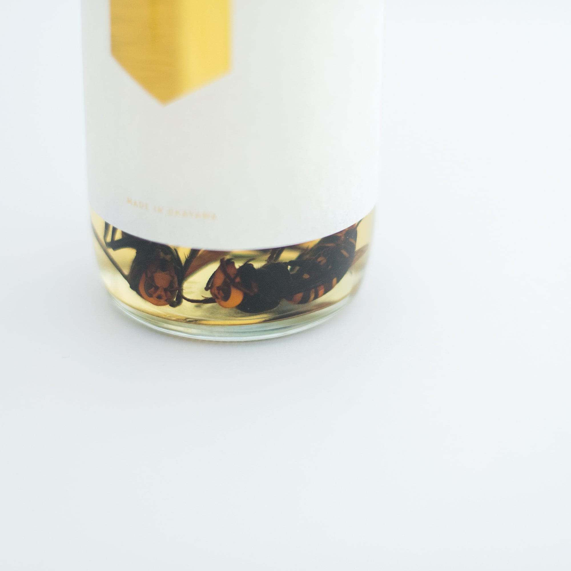 蜂酒 720ml | 蜂酒-オオスズメバチの焼酎漬け販売|あつたや 蜂酒 720ml | 蜂酒-オオスズメバチの焼酎漬け販売|あつたや