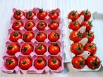 百果葉の２品種トマトAセット（カンパリ10個、フルティカ20個）【えひめAIで育てる誠意系野菜】