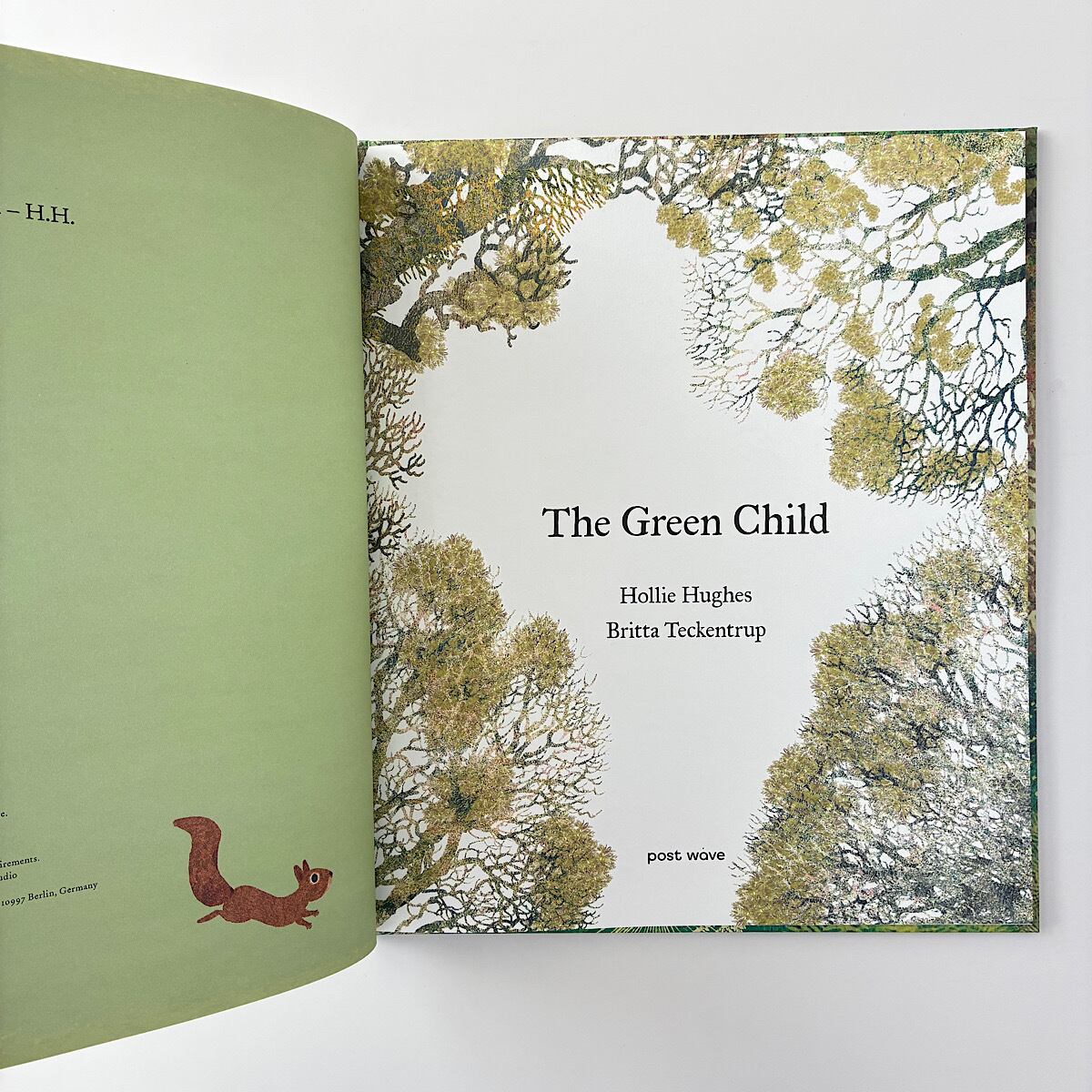 The Green Child | 素敵な洋書絵本のお店 Read Leaf Books