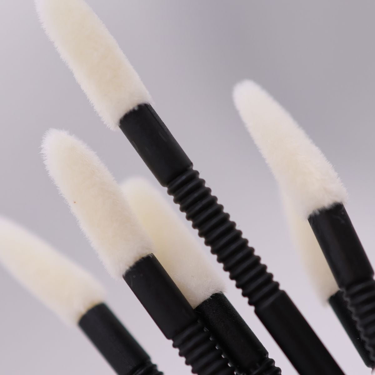 ホワイトブラシ50本