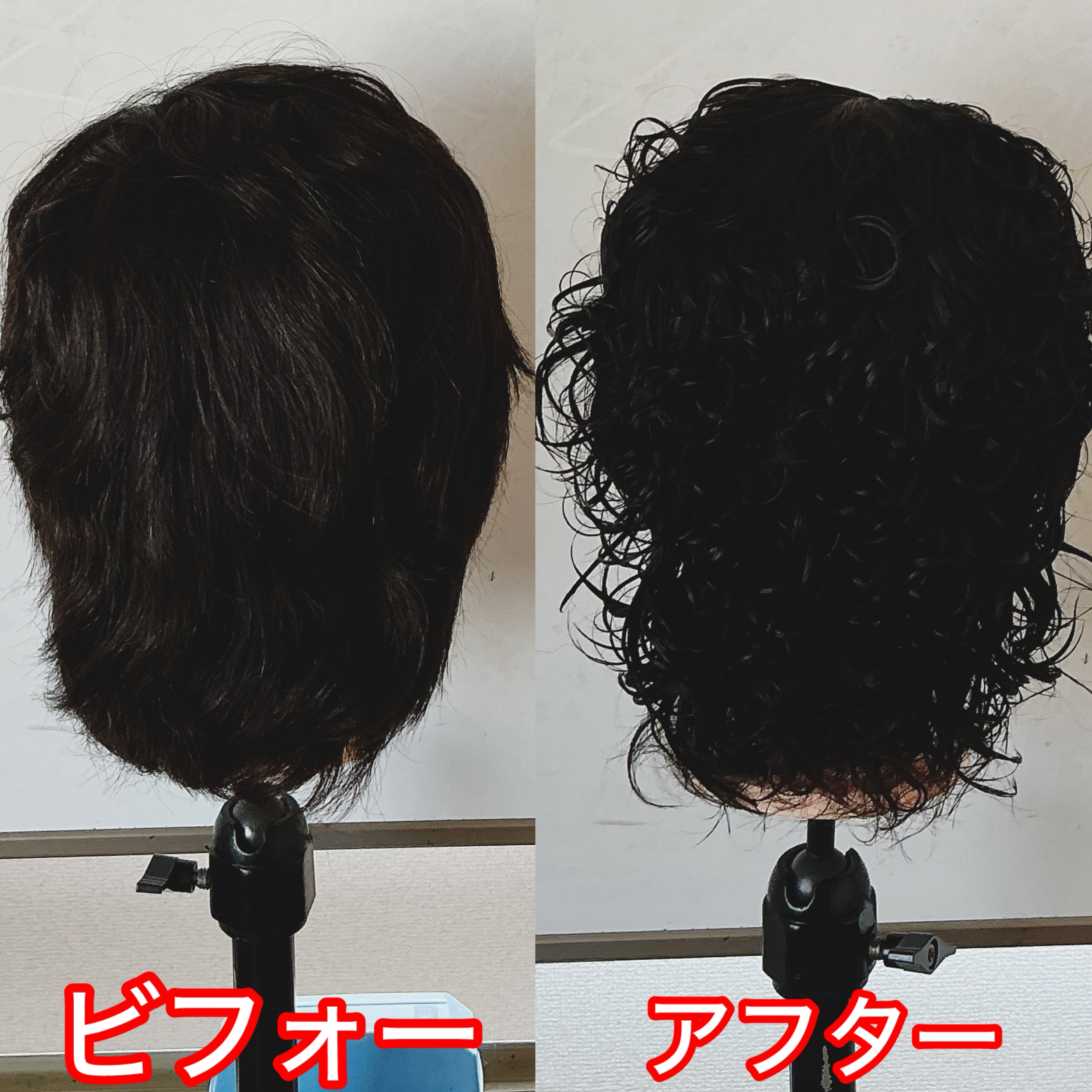 オールウェーブ用カット済ウィッグ仕込専用 （美容師実技試験用オール