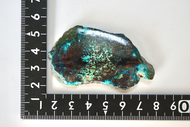 インドネシア産コラウッド(珪化木/クリソコラ/自然銅等) Petrified Wood with Blue Opal and Native Copper 1620