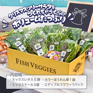 【FISH VEGGIES】クリスマスツリーサラダセット　パーティ・お祝いにピッタリ！化学肥料/農薬不使用だから安心して食べられる