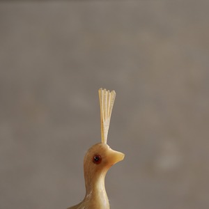 水牛の角から生まれた、タイの鳥