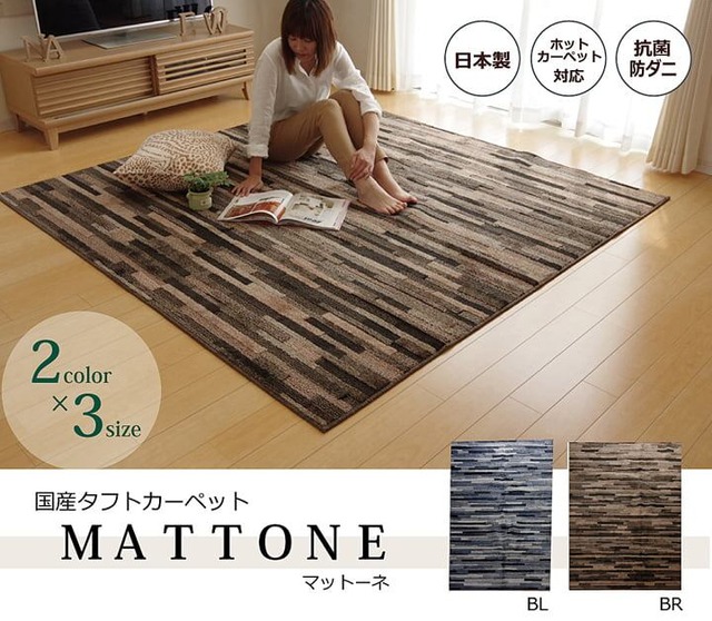 ラグ サンティエ 特殊 OV 150X250 150×250cm ラグマット カーペット 絨毯 抗菌