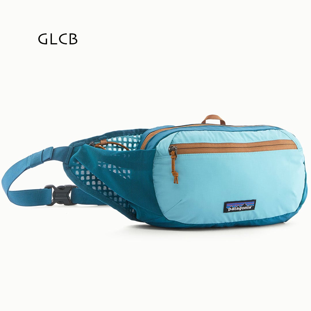Patagonia [パタゴニア正規代理店] Terravia Hip Pack 5L [49021