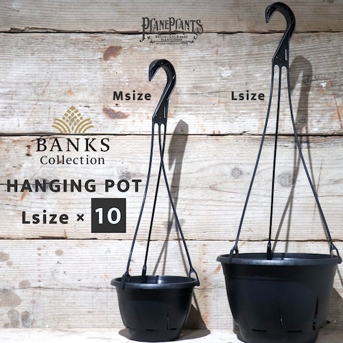 【送料別】HANGING POT L size×10〔BANKS Collection〕BC02L