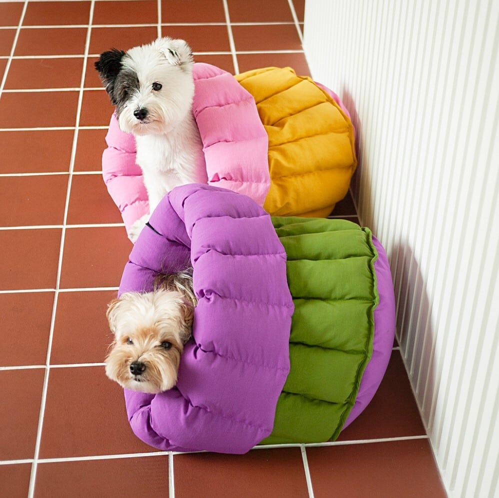 当店限定!予約【noonoosoom】noonoosoom×azalea canele cushion (2color)