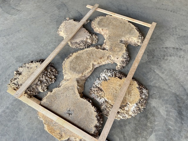 ポプラレジンテーブル【セミオーダー】