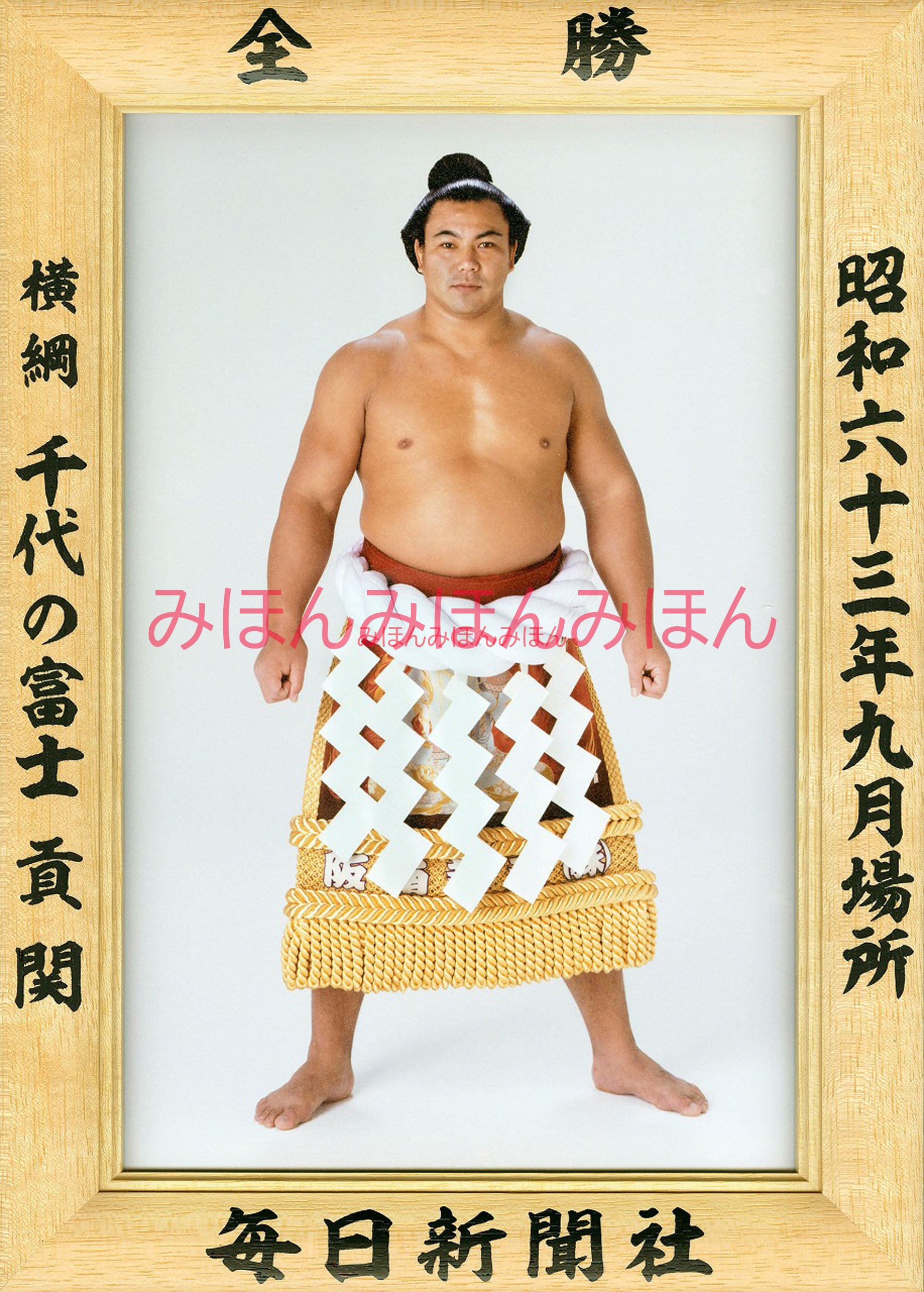 優勝額　昭和54年11月場所　横綱三重ノ海　大相撲