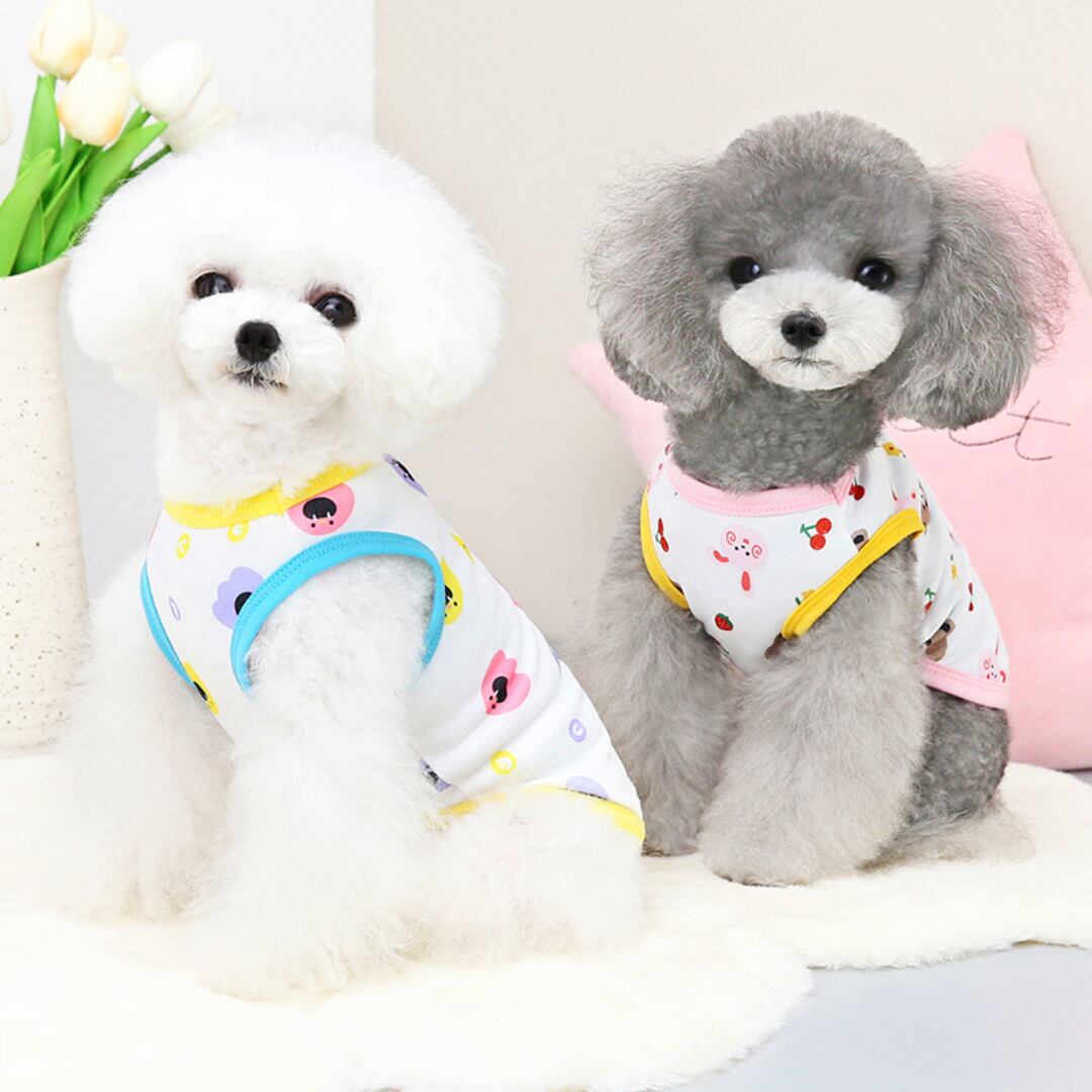 【全2色】ポップカラーのプリントカットソー d1370