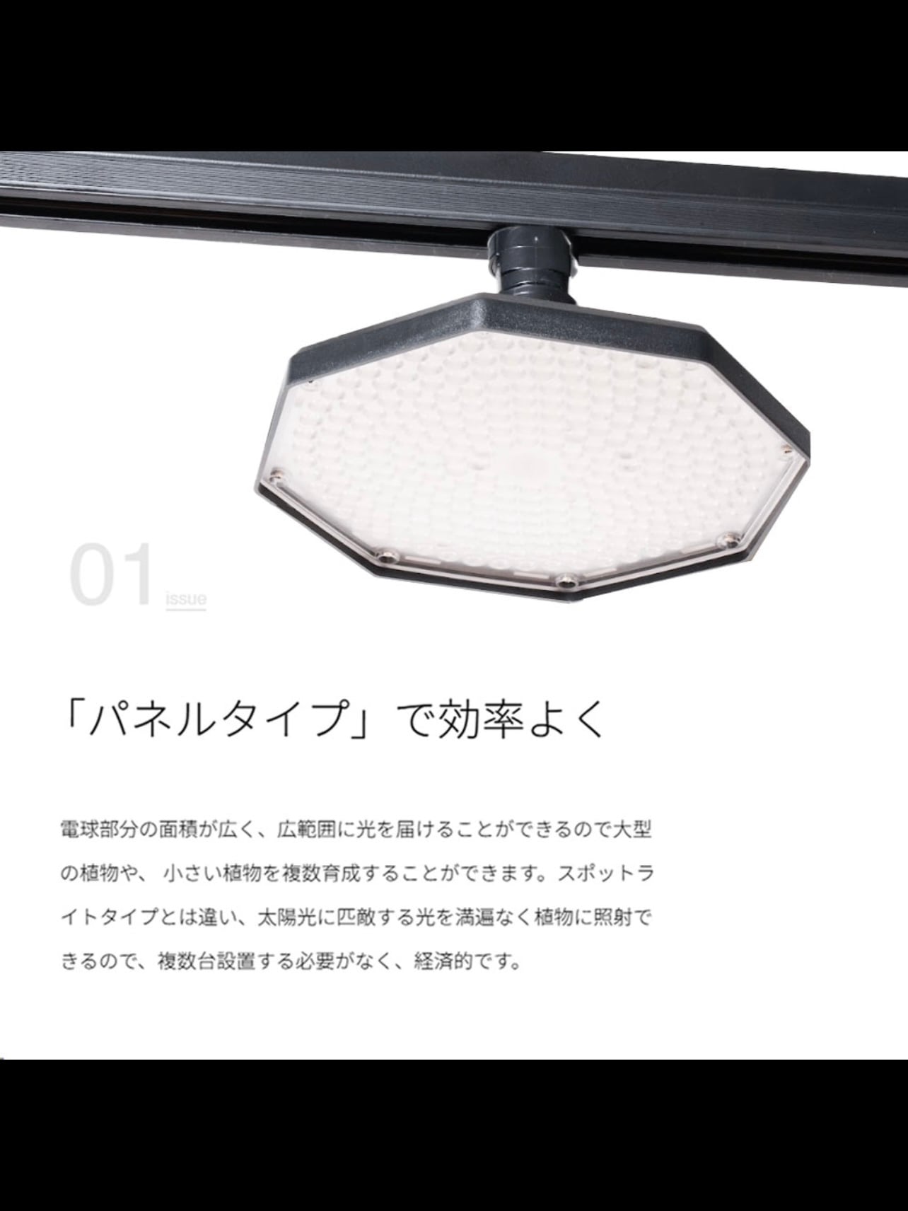 ROKI‐Octagon 50W | trigger