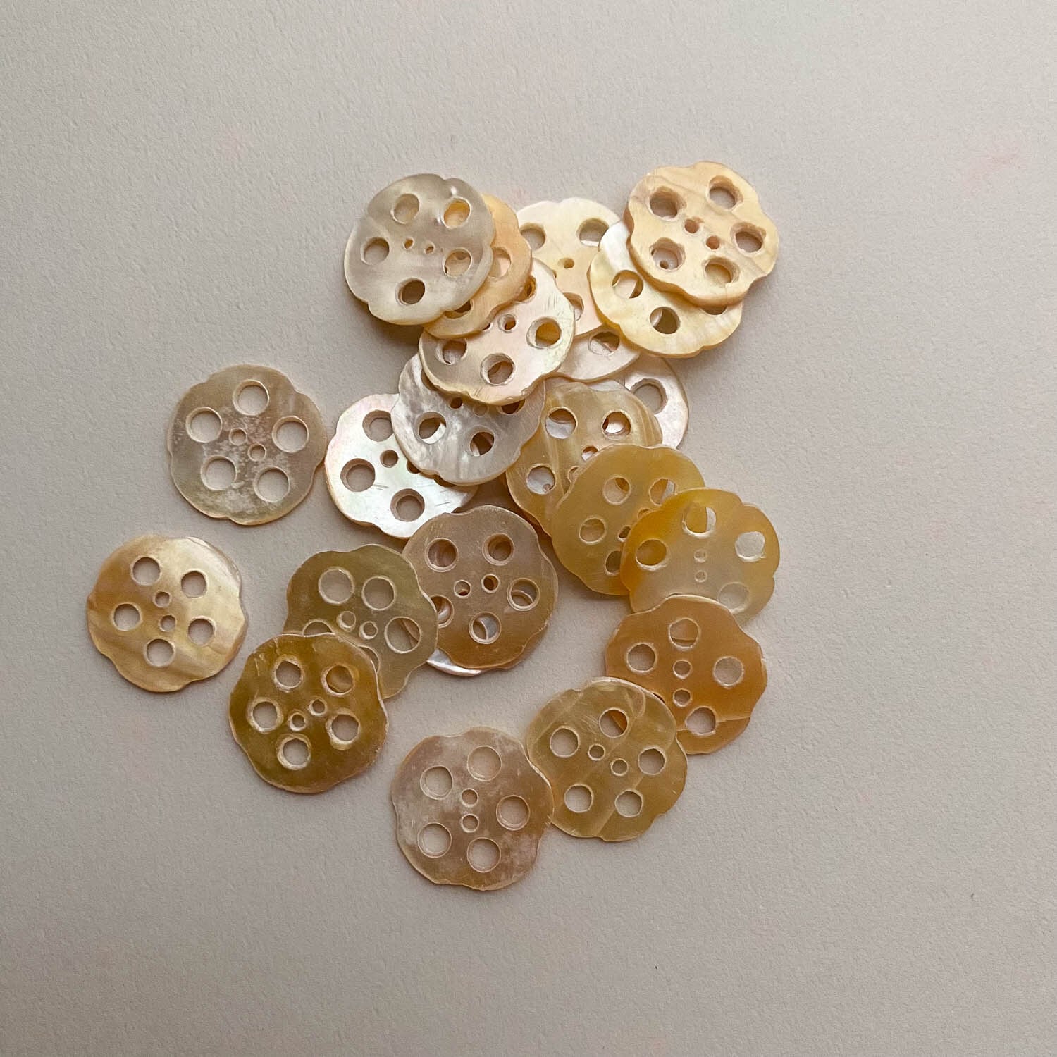 レンコンのシェルボタン(22mm)