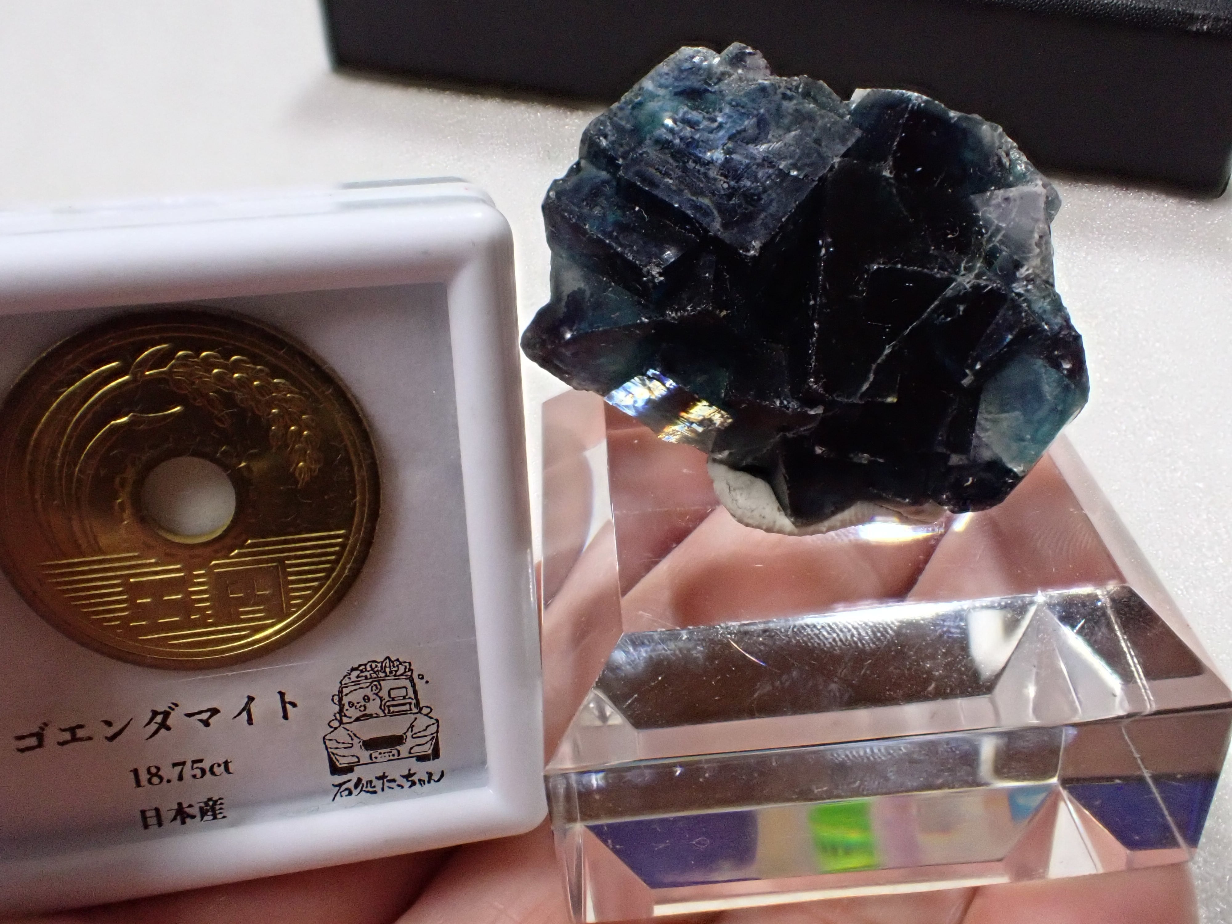 バタフライポケット】フローライト オコルス鉱山 蛍石 原石 標本 | 石