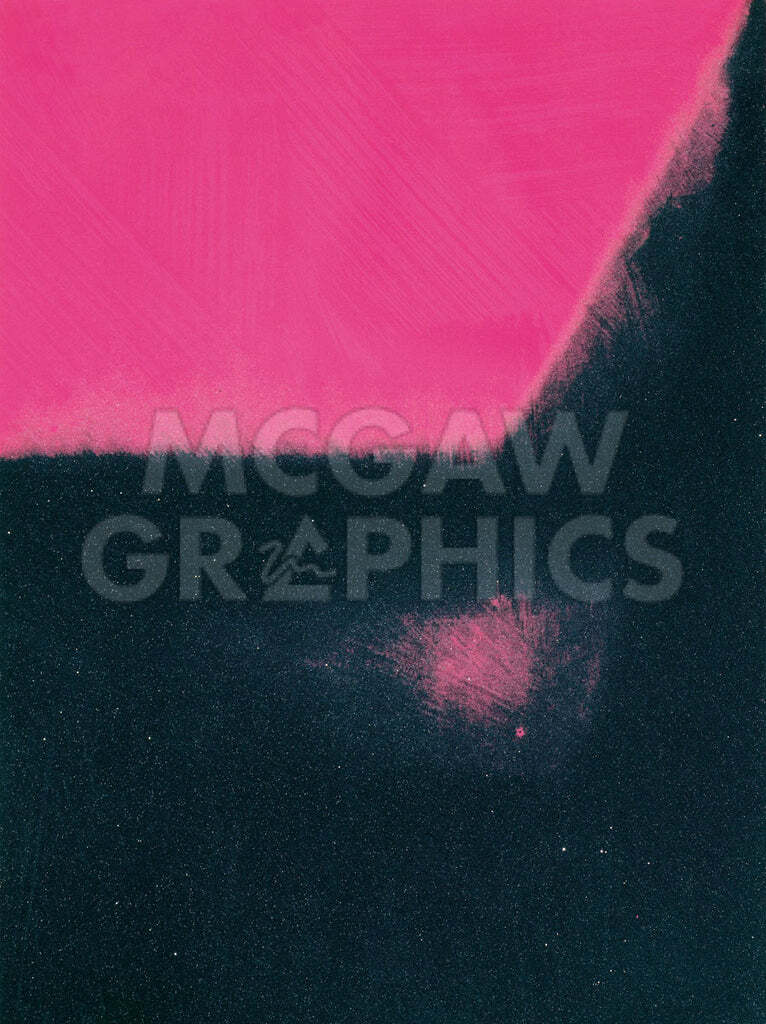 アンディ ウォーホル「シャドウズ I ,1979(ブラック&ピンク)」展示用フック付ポスター ポップアート 絵画