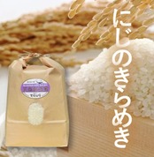 【にじのきらめき 5kg 白米】奥能登・珠洲育ち