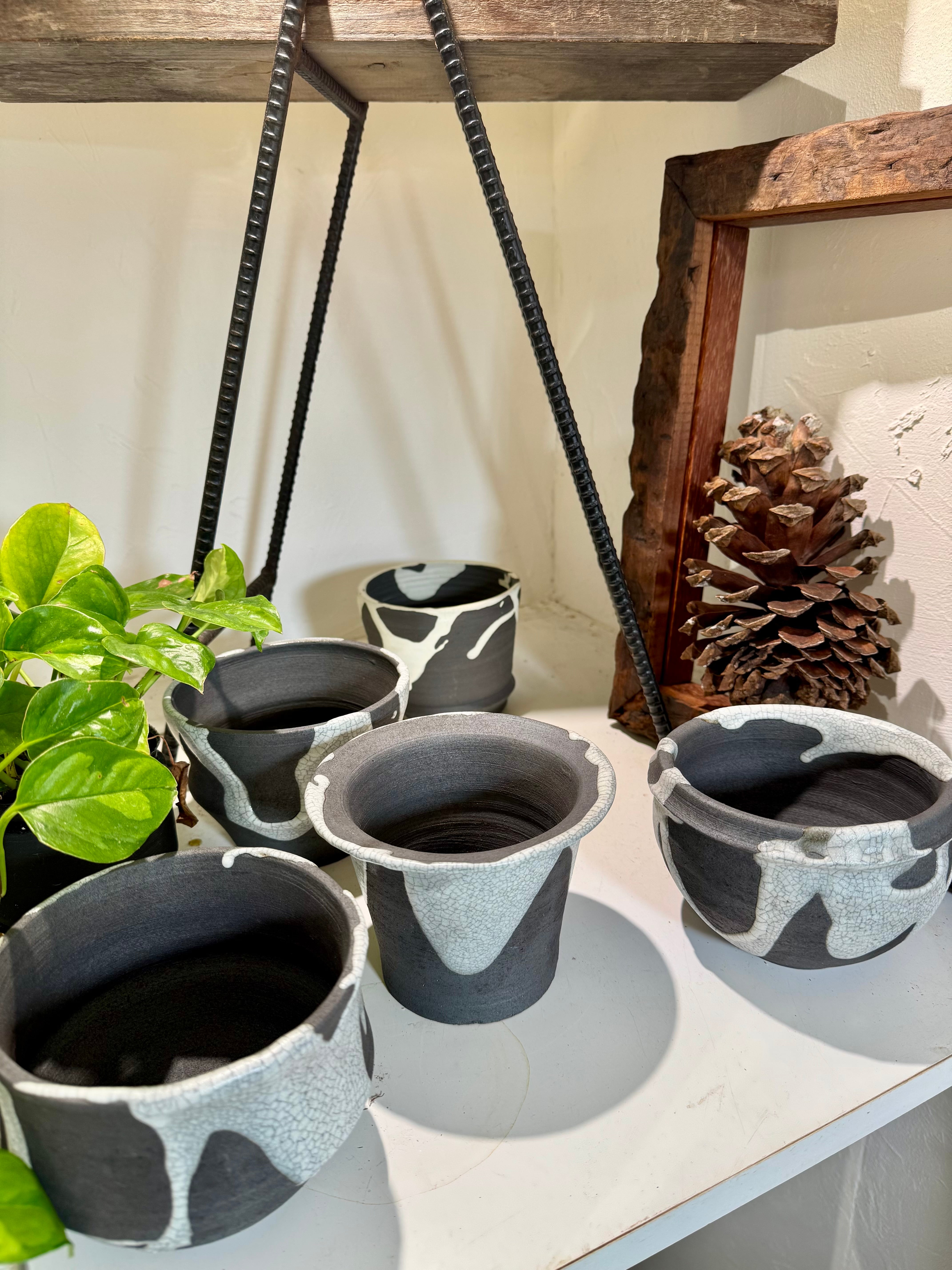 初登場】③信楽焼の陶器鉢！かみ山陶器の厳選植木鉢（白マット貫入り丸