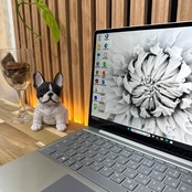 \ 公式ショップ限定価格❣️/ 準未使用《新型2022年モデル》Surface Laptop Go2 第11世代 メモリ8GB SSD128GB ノートパソコン 安心サポート&3ヶ月保証付き