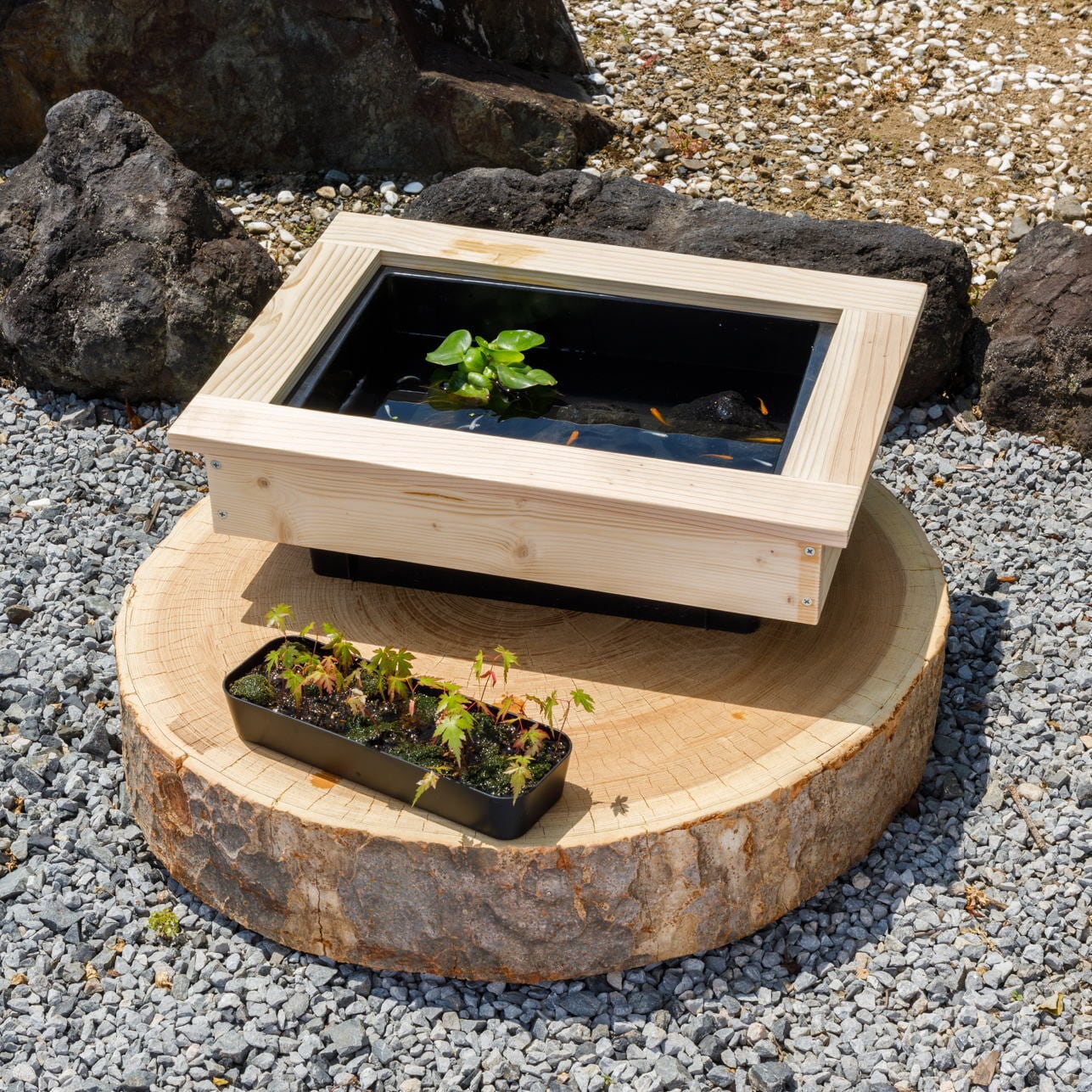 メダカ容器の木枠 | 雑貨と食品販売のNPO法人サイシップ ビオトープ木