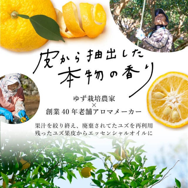 yukino×DAJ 招き猫 YUZU ハンドクリーム ミニ 20g | yukino shop