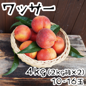 朝もぎ！ワッサー（白桃×ネクタリン）４kg（２kg箱×２）