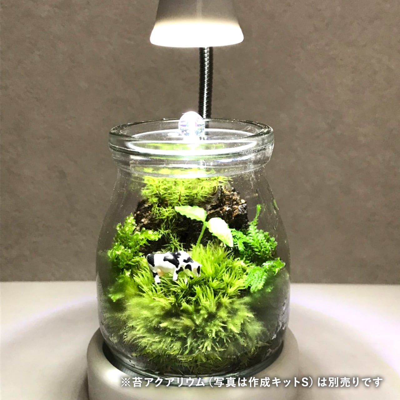 苔テラリウムに最適なledライト Ss 人感センサー付 苔と灯りのお店 3escience