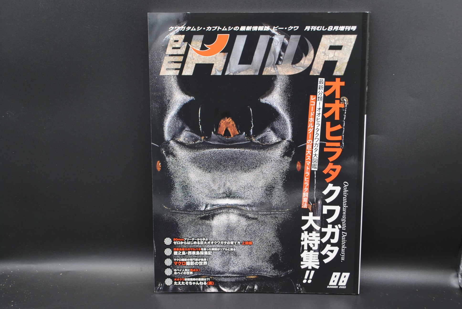 BE-KUWA 88号 | クワガタムシ・カブトムシ専門ショップ CIEL