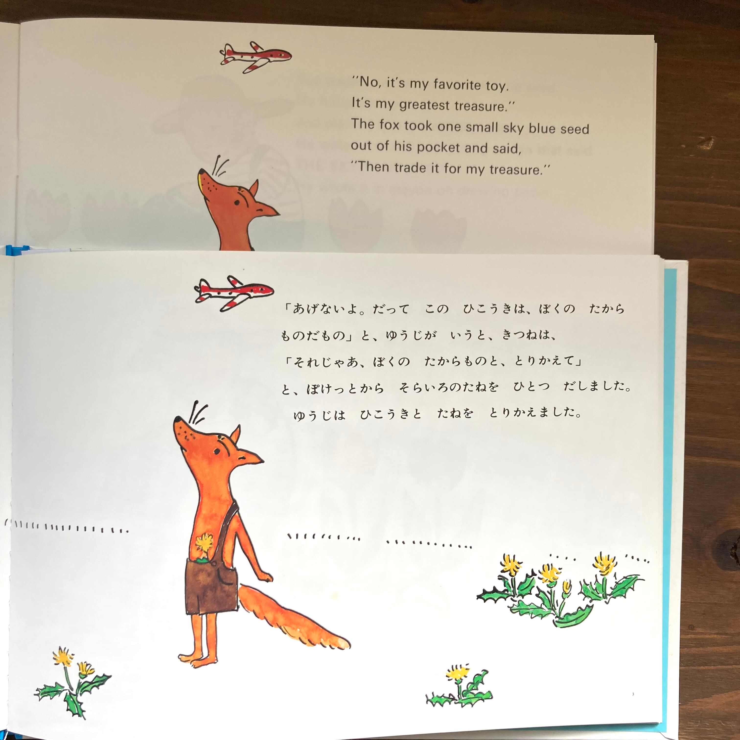 そらいろのたね＆The Sky Blue Seed 2冊セット | 風文庫 kazebunko