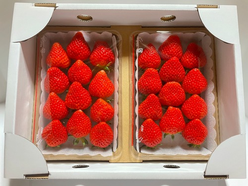 いちご【越後姫】1箱（2パック）