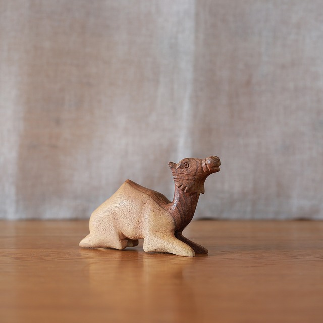 つぶらな瞳で、休憩中のラクダ B