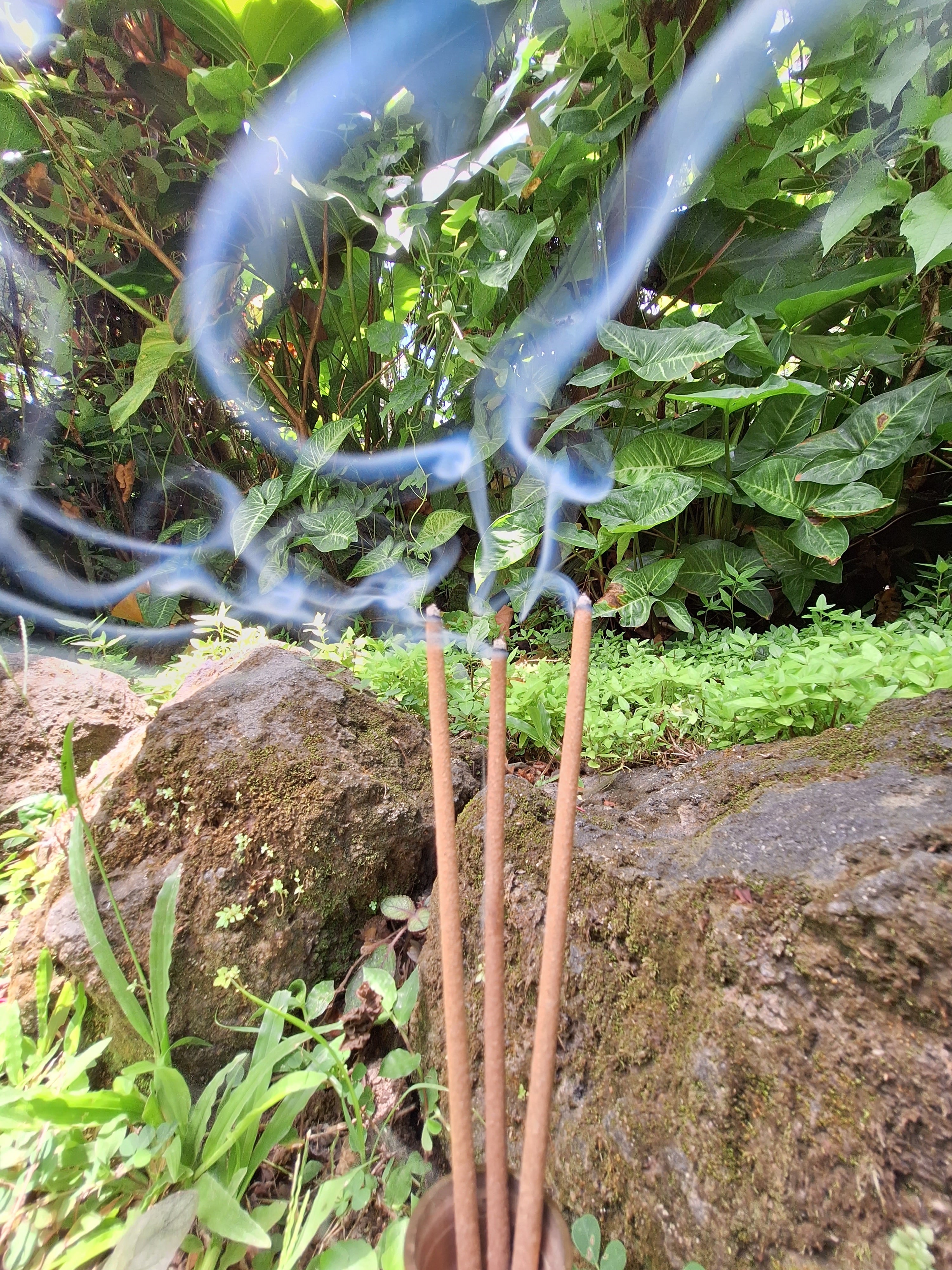 沈香、伽羅、香木、サンダルウッド「天然カンボジア産ブルー白檀188,7g