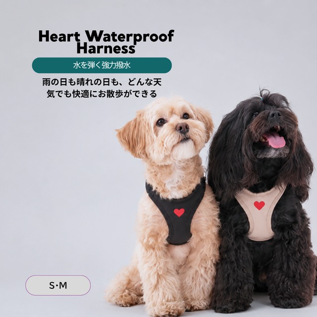 WALK｜お散歩用品 | puppygallery