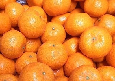 エリア：広島県 高根島産みかんジュース （清見オレンジ）2本 長畠