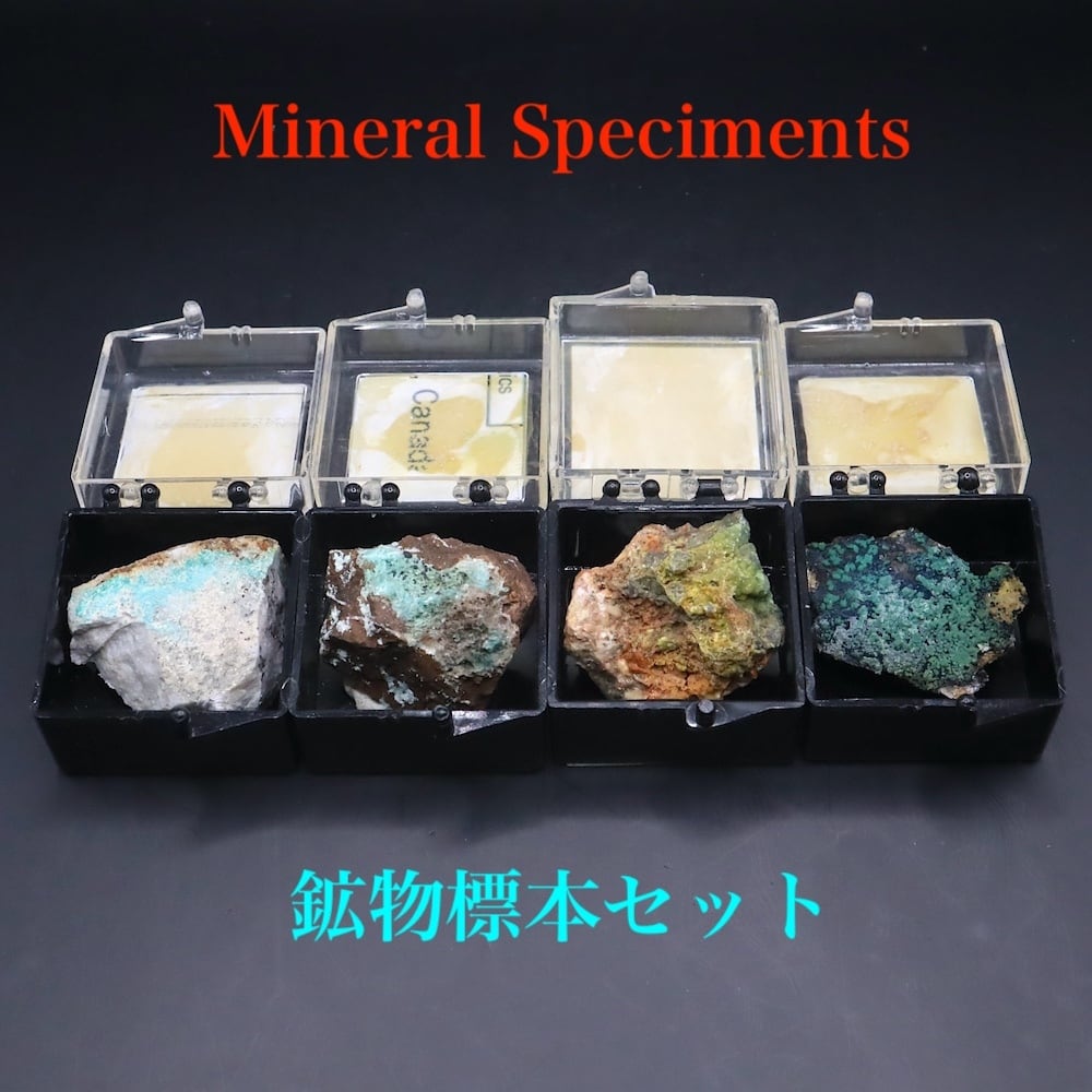 鉱物標本セット | 鉱物 天然石 American Minerals + Gemmy You