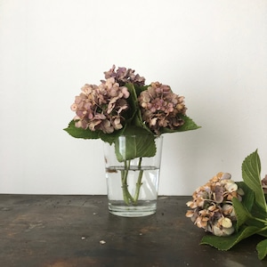 ガラスのフラワーベース｜Glass Flower Vase