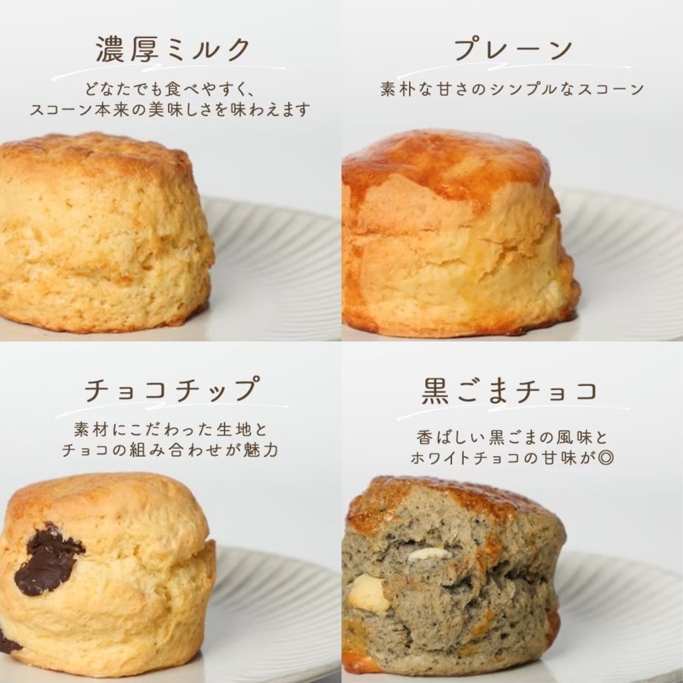 12個セット】店長おすすめ！お得なスコーン詰め合わせ♪ | KLIM