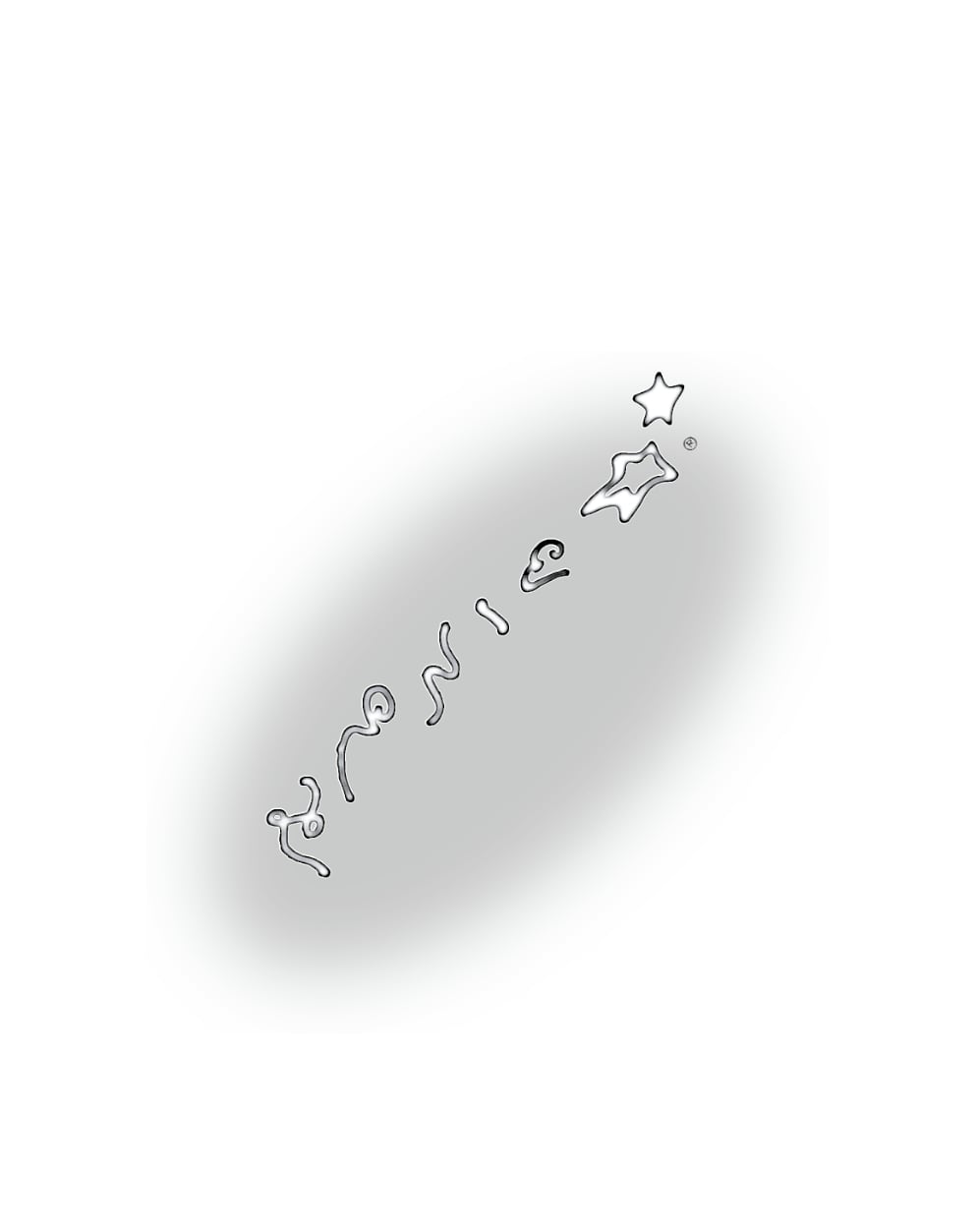 A様 専用ご決済ページ