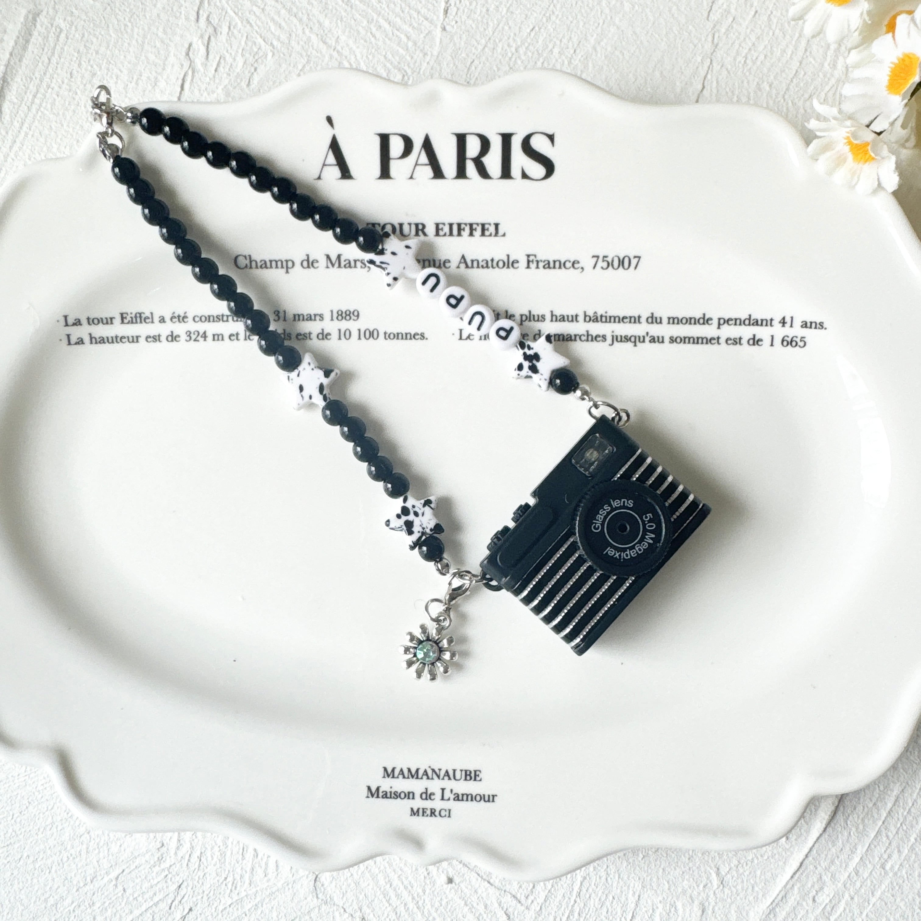 カスタムお名前入りストライプフラッシュカメラ