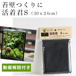 【壁に生えるコケの表現に】活着君Sサイズ（30ｘ24cm）◆植物を育てることのできる特殊な布