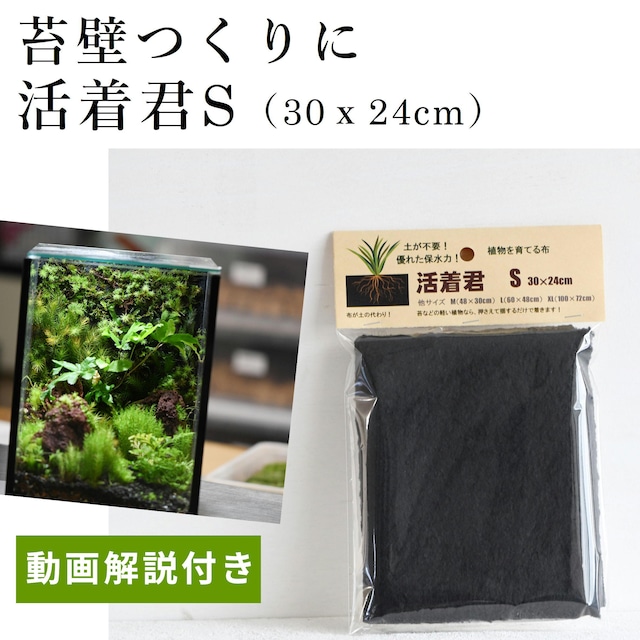 【壁に生えるコケの表現に】活着君Sサイズ（30ｘ24cm）◆植物を育てることのできる特殊な布