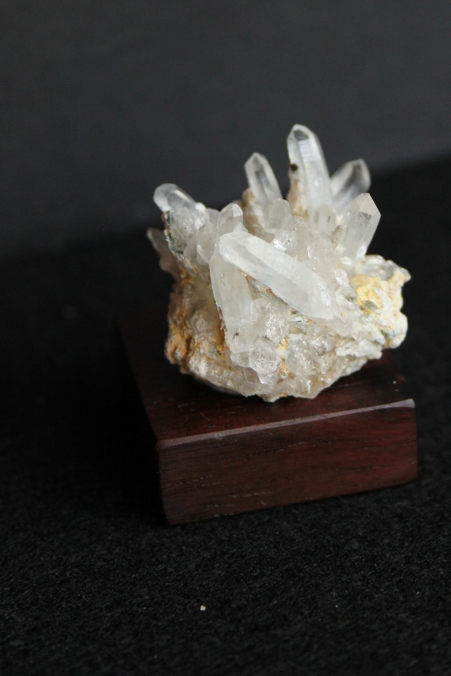 【3201】大分クリスタルまりも ローズウッドベース大