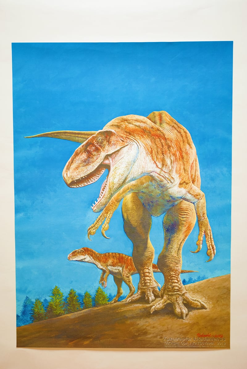 恐竜5点　バースデーラプトル　ラミネート3枚　ブレーメンポスター