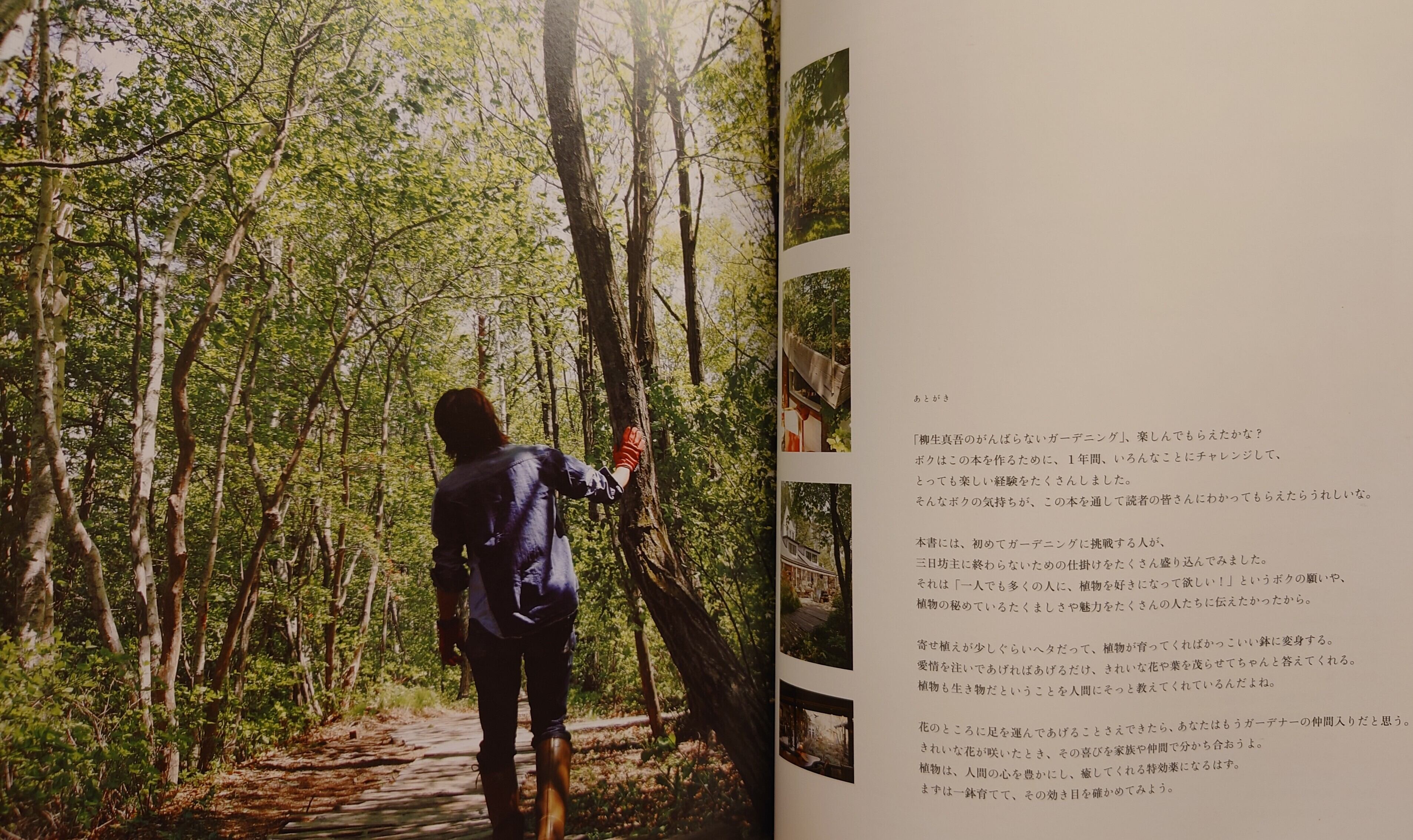 柳生真吾のがんばらないガーデニング(別冊 美しい部屋) | 弥生坂 緑の本棚 powered by BASE